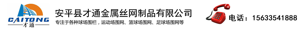 才通專業(yè)體育場圍網(wǎng)生產(chǎn)廠家